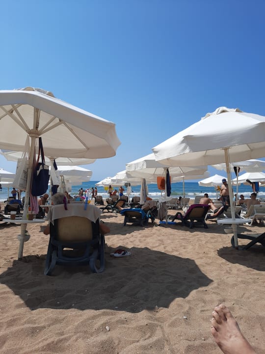 Strand Side Star Elegance