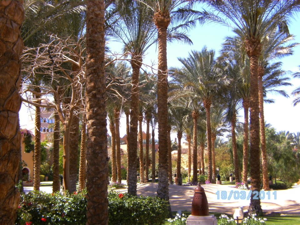 Tolle Gartenanlage sehr viel grün  Grand Makadi