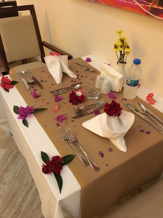 Gastro Arum Barut Collection