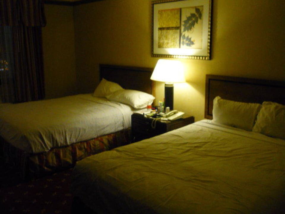 Doppelzimmer mit 2 Riesenbetten Hotel Circus Circus