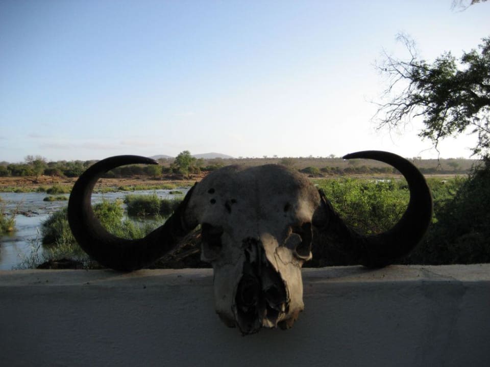 Ausblick Crocodile Camp