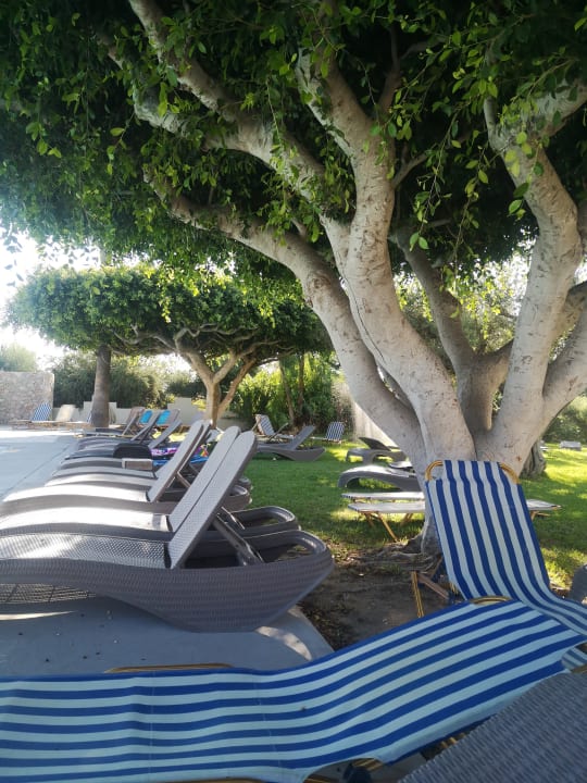 Pool Ilios K Village Resort