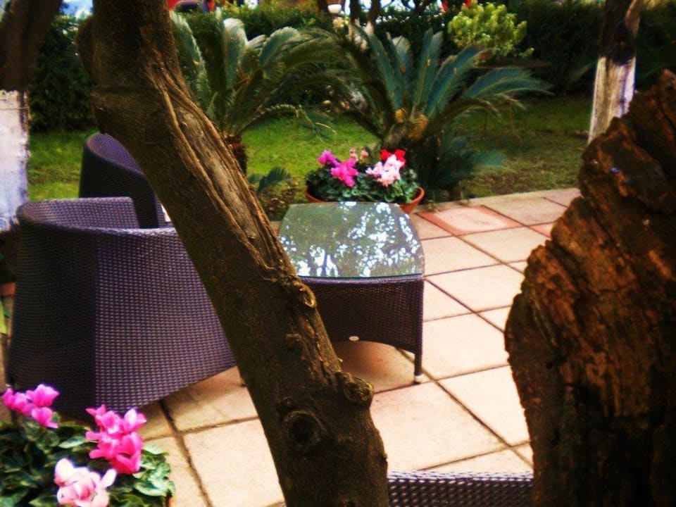 Giardino Hotel Diana Hotel Diana Pompei