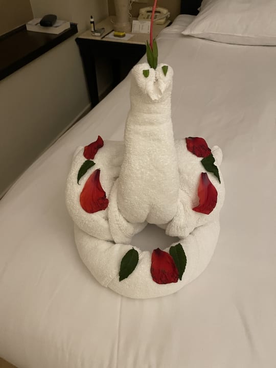 Zimmer Steigenberger Coraya Beach - Adults only