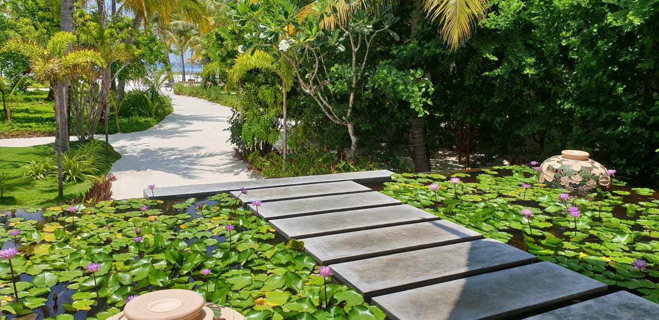 Gartenanlage OZEN LIFE MAADHOO