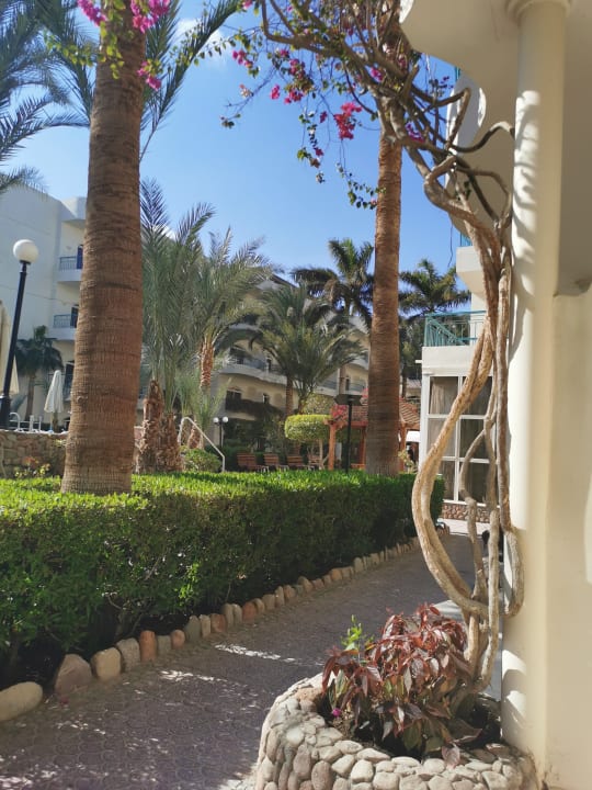 Zimmer Bella Vista Resort Hurghada
