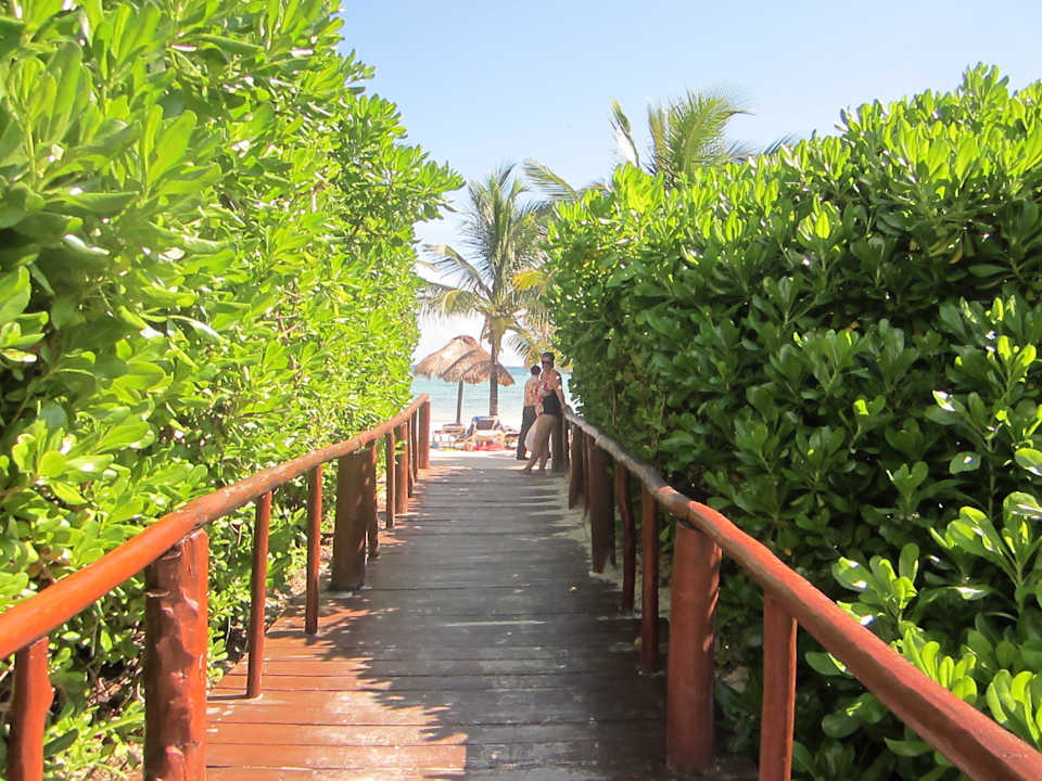 Viel Grün Grand Palladium Kantenah Resort & Spa