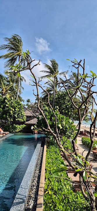 Gartenanlage Banana Fan Sea Resort