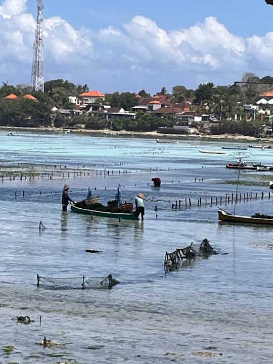 Ausblick Mista Ceningan's Beach Bungalows previously The KUBU 221