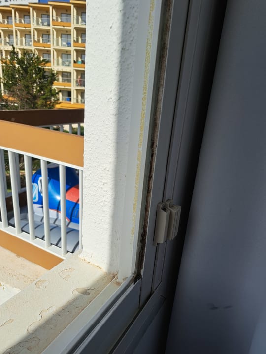 Zimmer Alcudia Garden Aparthotel