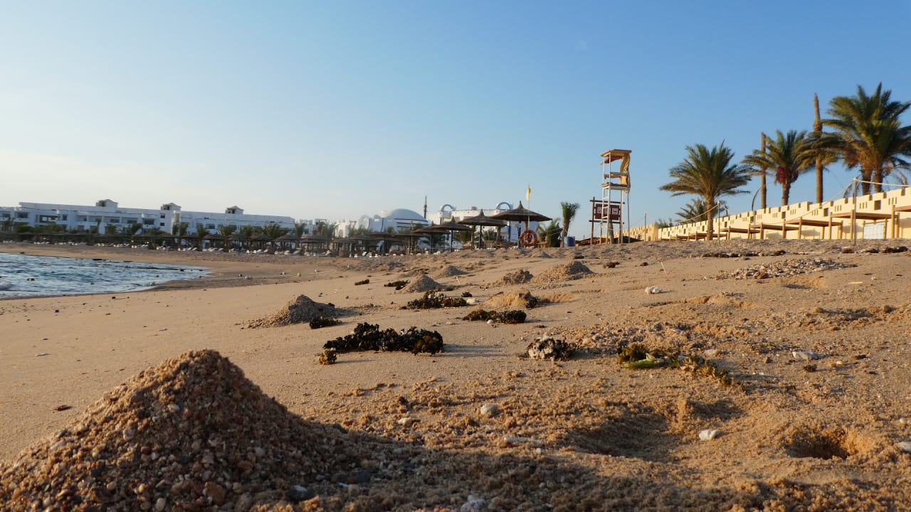 Strand Coral Sun Beach