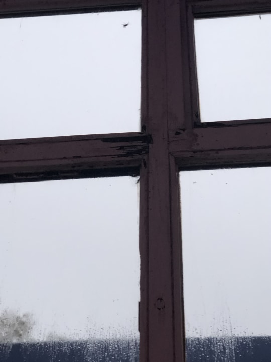 Sonstiges Fini-Resort Badenweiler