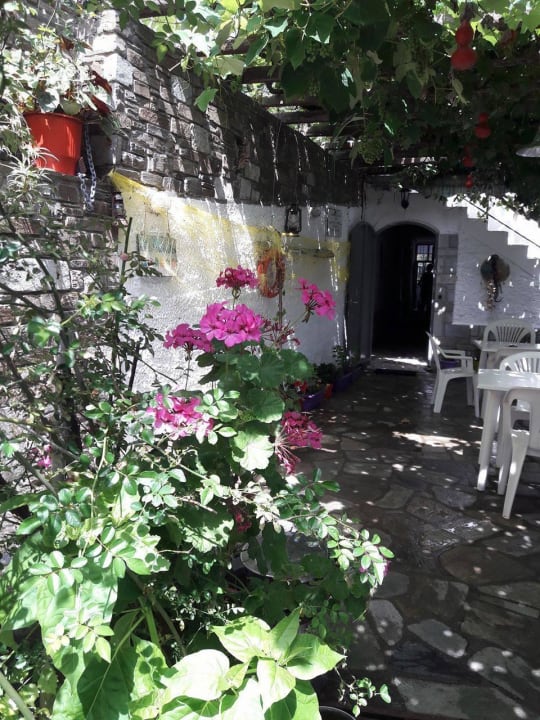 Garden area for guests Hostel Katerina