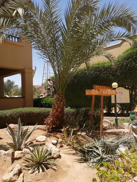 Gartenanlage Three Corners Rihana Resort Deluxe