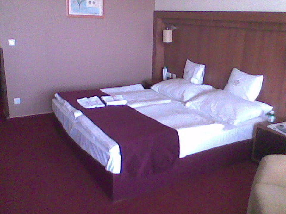 Zimmer 309 strassenseitig Caramell Premium Resort