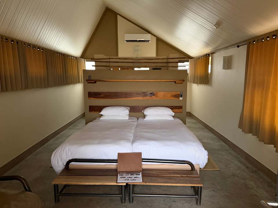 Zimmer Desert Quiver Camp