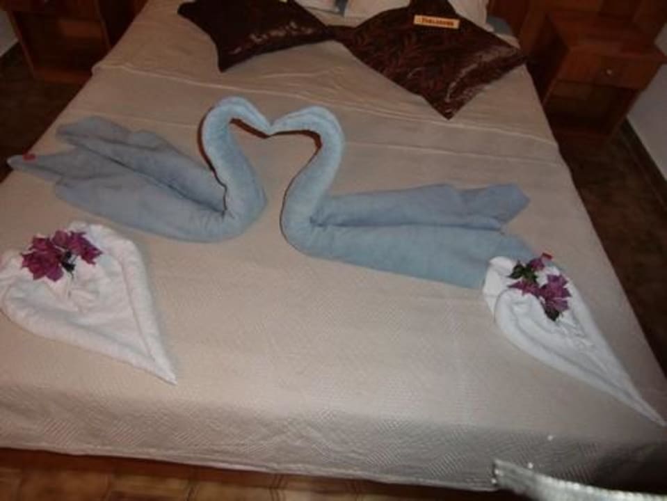 Schöner Empfang Hotel Palma Rosa