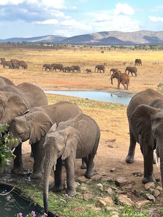 Ausblick Taita Hills Safari Resort & Spa
