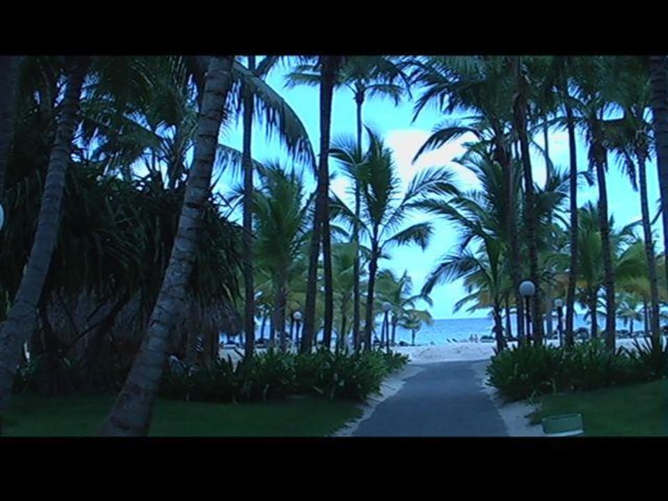Hotelstrand Hotel Riu Bambu