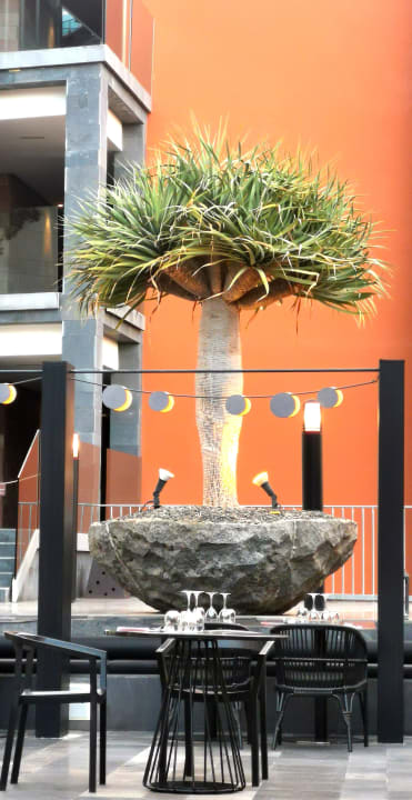 Gastro Salobre Hotel Resort & Serenity