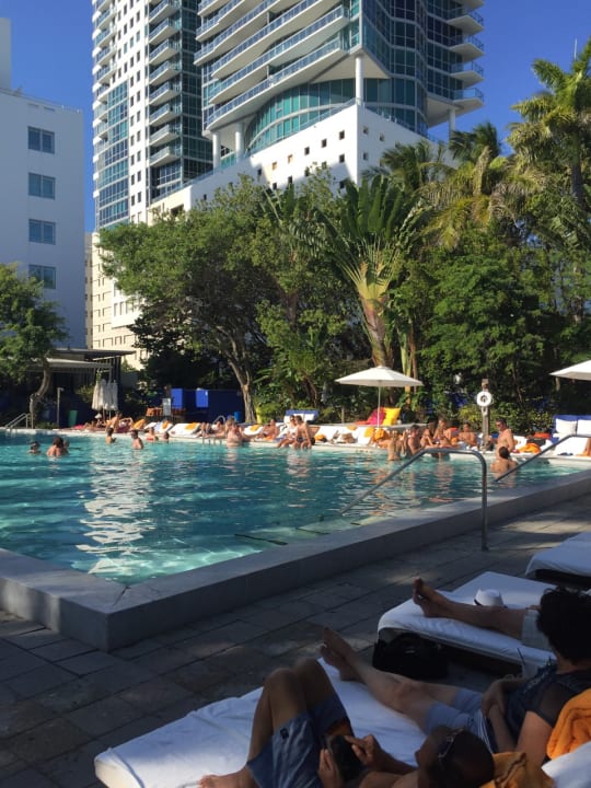 Pool Hotel The Shore Club