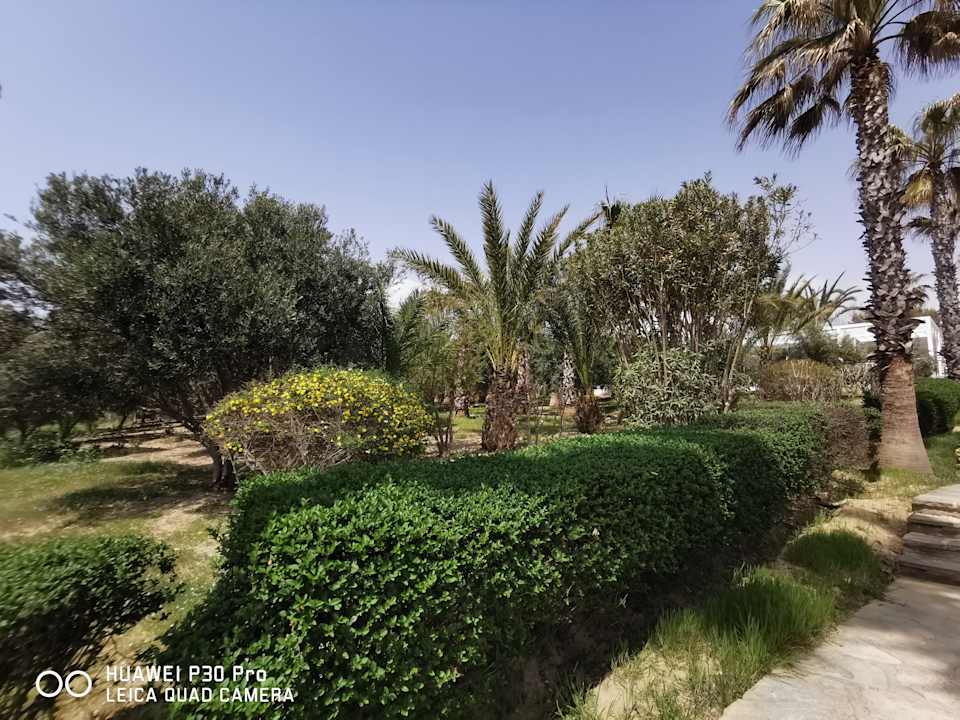 Gartenanlage Sporting Hotel Alba