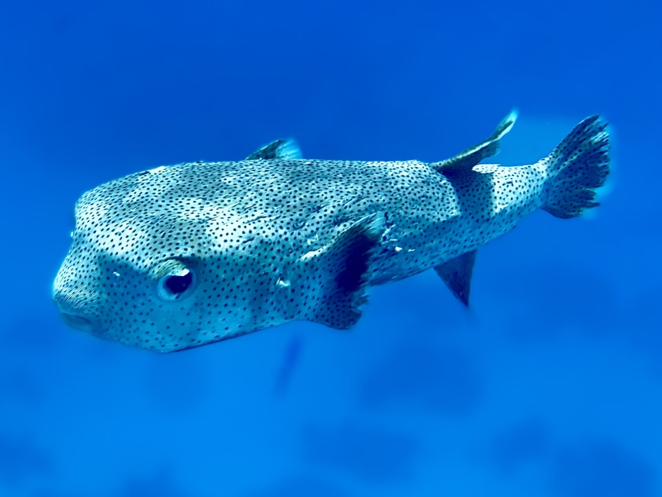 Sport & Freizeit Grand Makadi