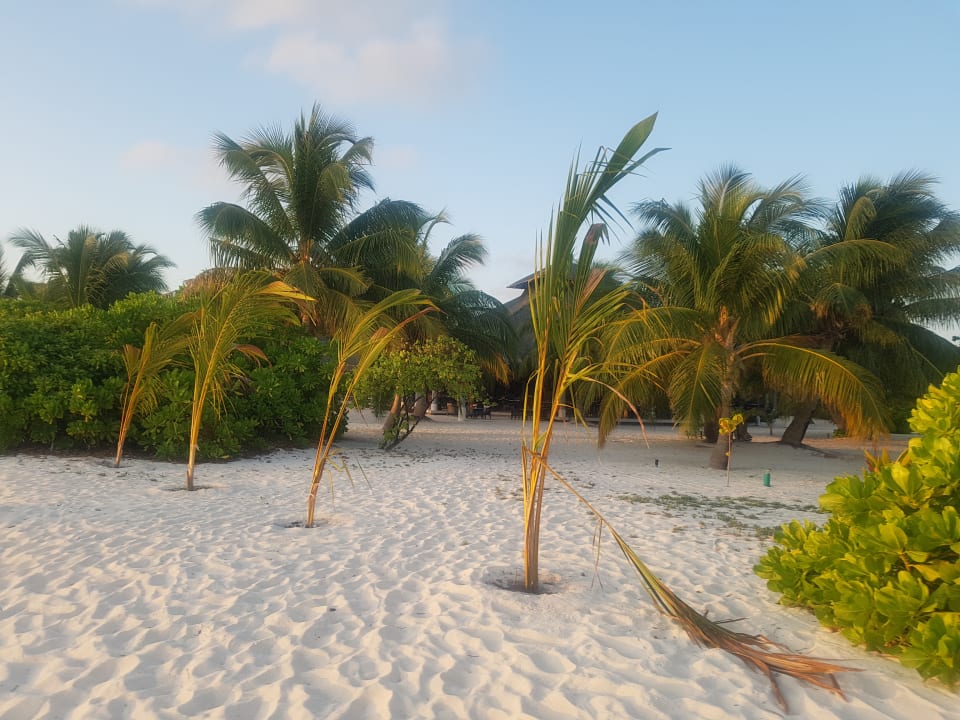 Strand NH Collection Maldives Havodda Resort