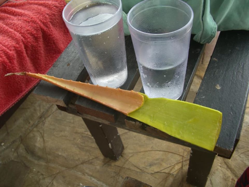 Diani Sea Lodge Hotel Diani Sea Lodge