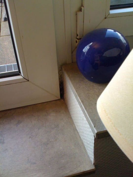 Schimmel im Früstücksraum Hotel Domicil Hamburg by Golden Tulip