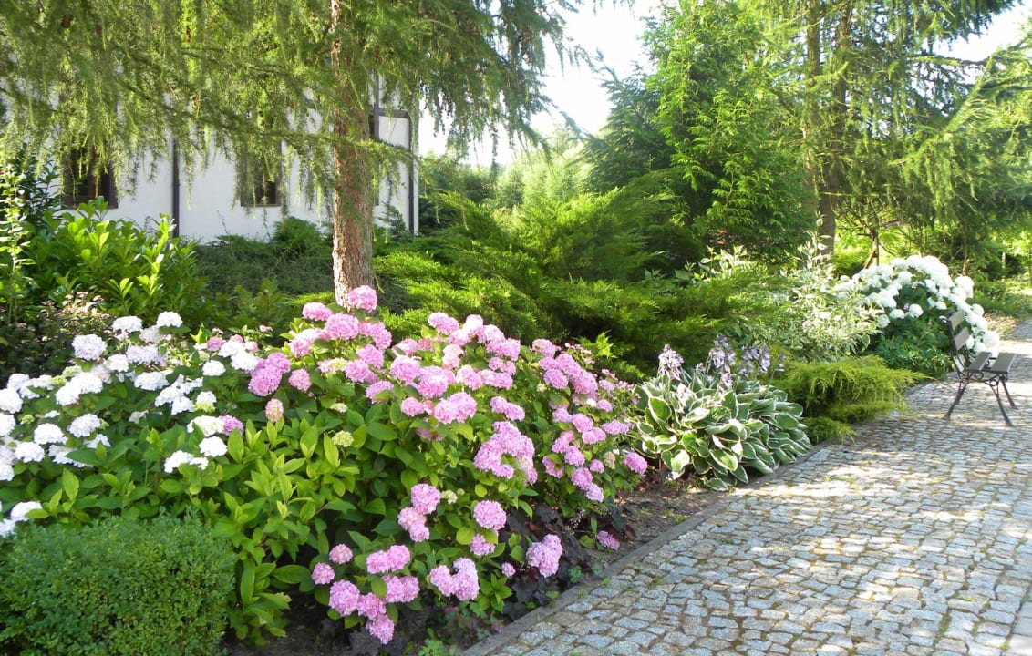 Gartenanlage Siedlisko Orlik - Villa Orlik