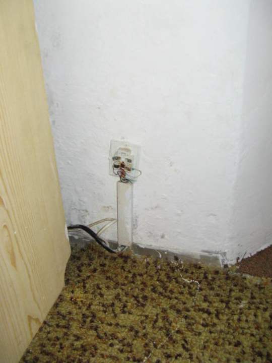 Gniazdko Hotel Tulipan