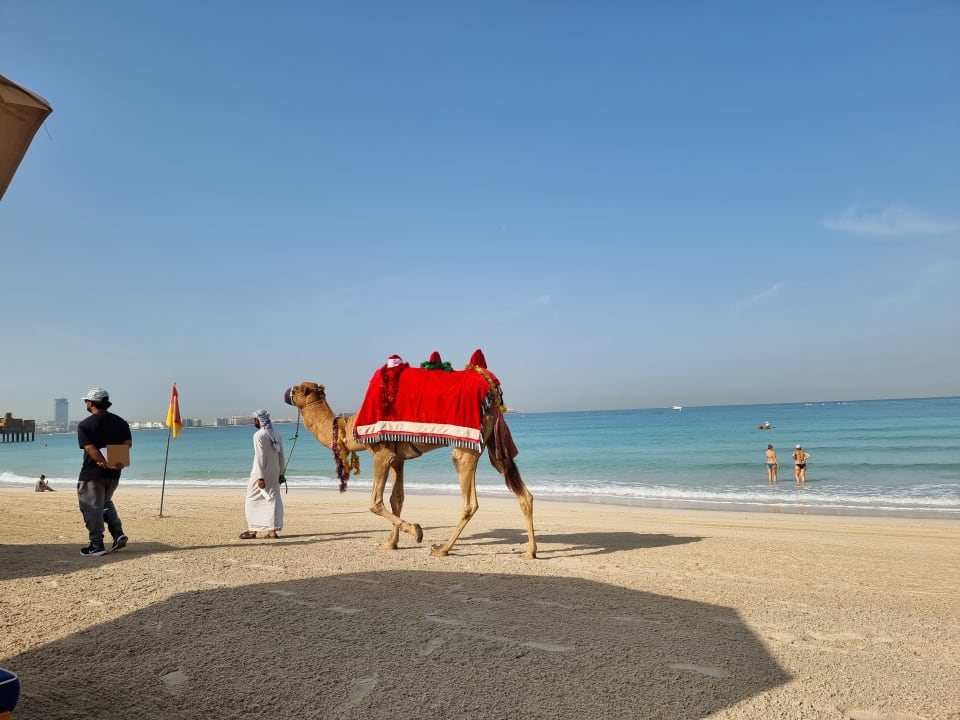 Strand Jumeirah Mina Al Salam