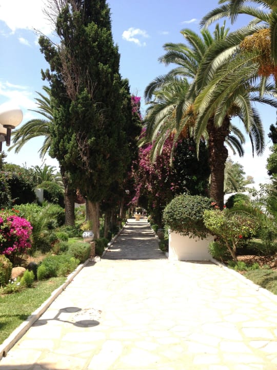 Weg vom Strand zum Zimmer The Orangers Beach Resort and Bungalows