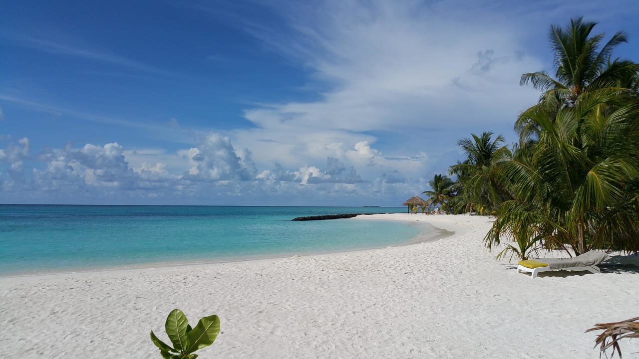 Kuschelbucht  Summer Island Maldives