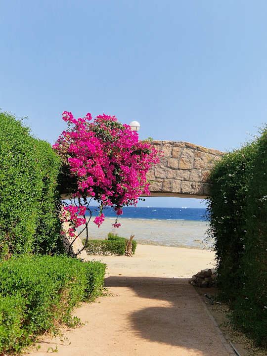 Außenansicht Three Corners Equinox Beach Resort