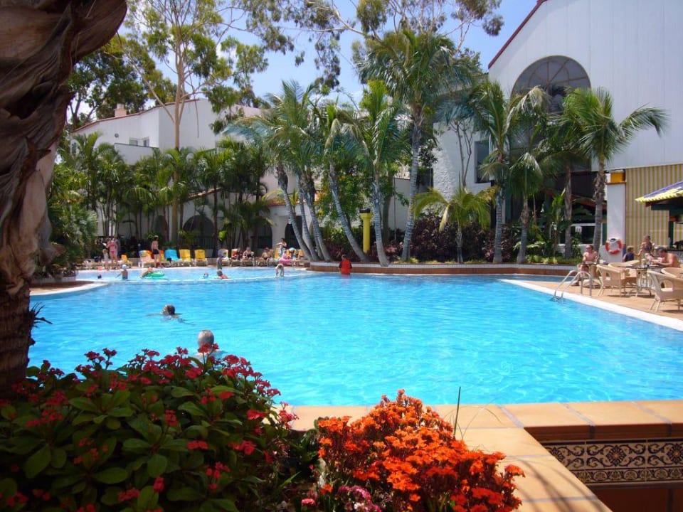 Teil des Hauptpools Park Club Europe