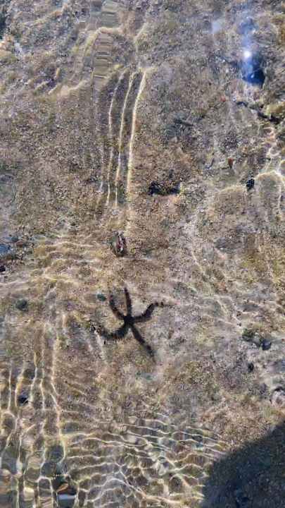 Strand Coral Hills Resorts & SPA