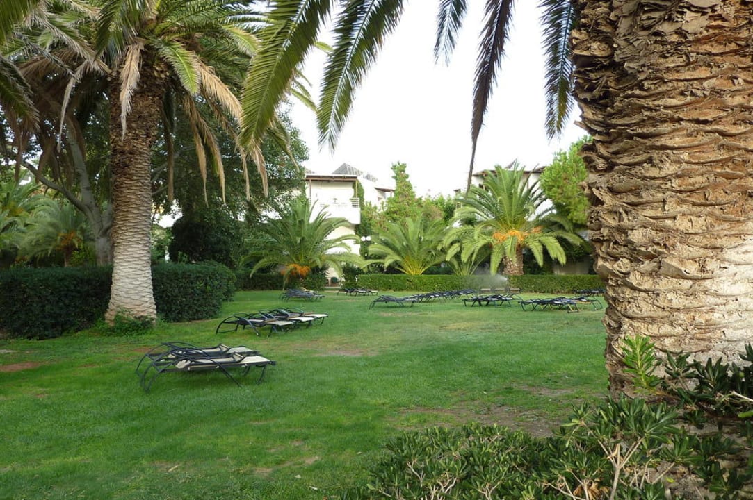 Gartenbereich mit Liegen Apollonia Beach Resort & Spa