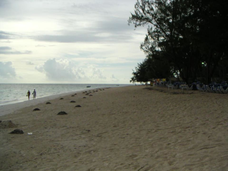 Carabela Beach Resort Strand Vista Sol Punta Cana