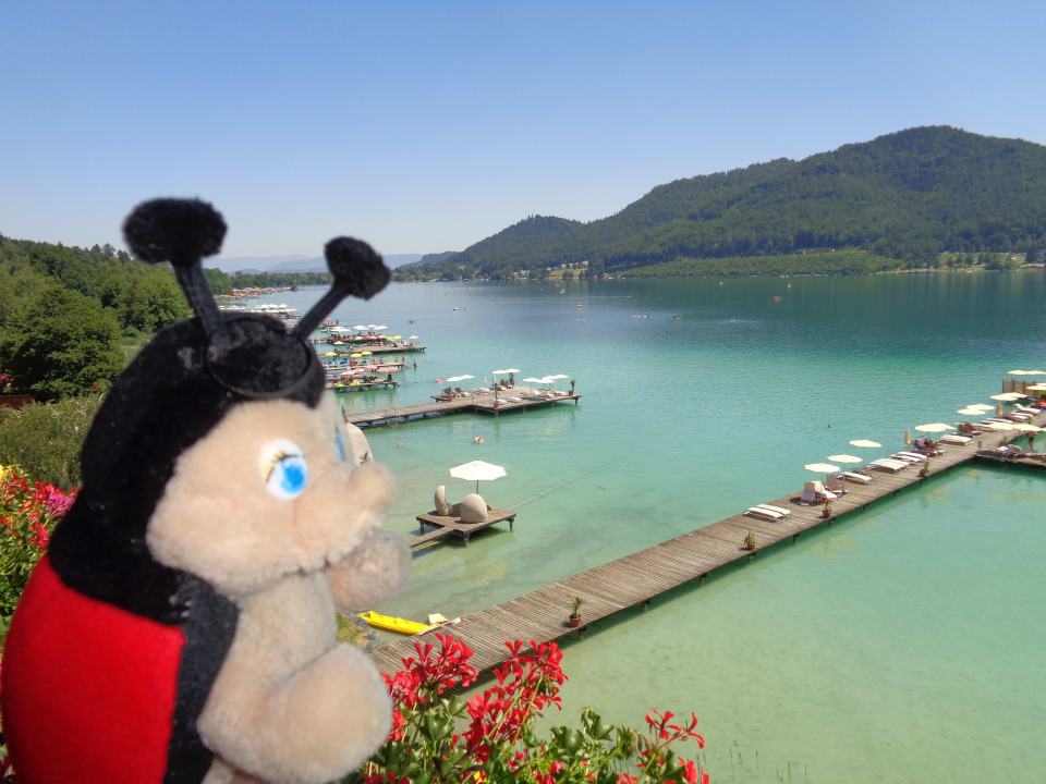 Ausblick Hotel & Spa Sonne am Klopeiner See
