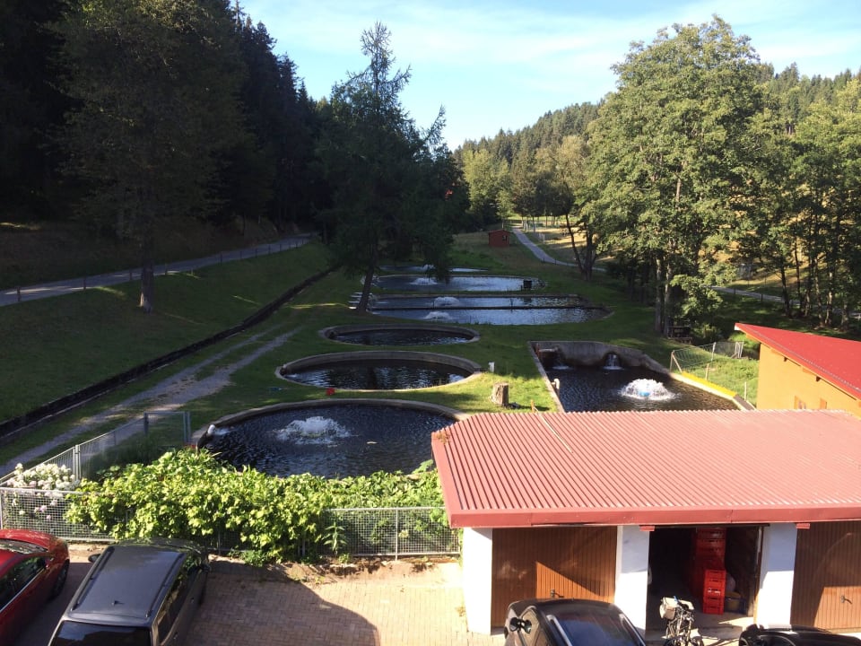 Zimmerausblick Hotel Tannenmühle