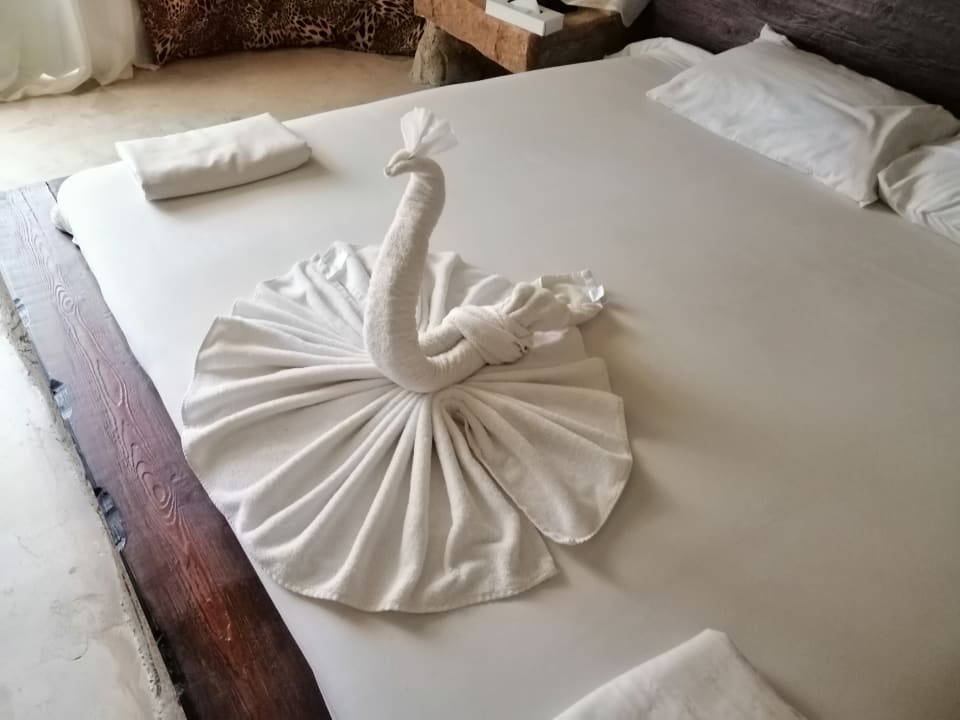 Zimmer Hotel Caves Beach Resort (Adults Only)