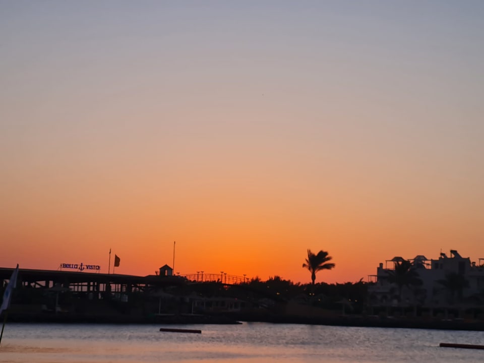 Ausblick Desert Rose