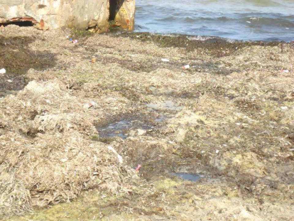 Und es wurde immer mehr Marhaba Royal Salem