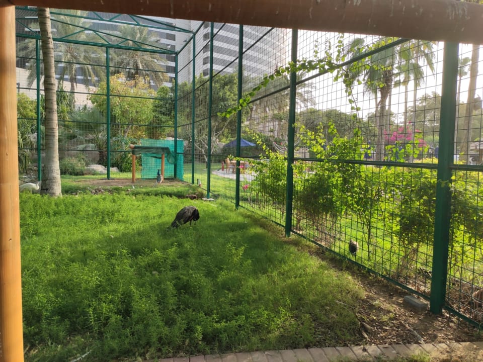 Gartenanlage Grand Hyatt Dubai