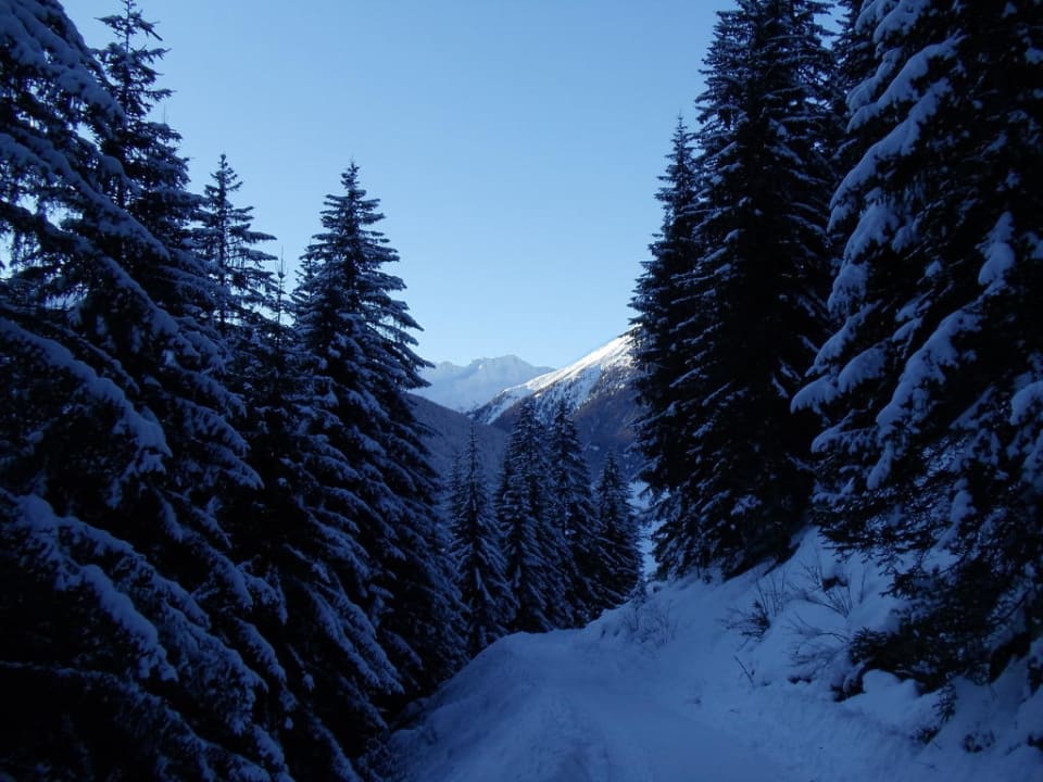 Wanderweg über dem Gannerhof Hotel Gannerhof