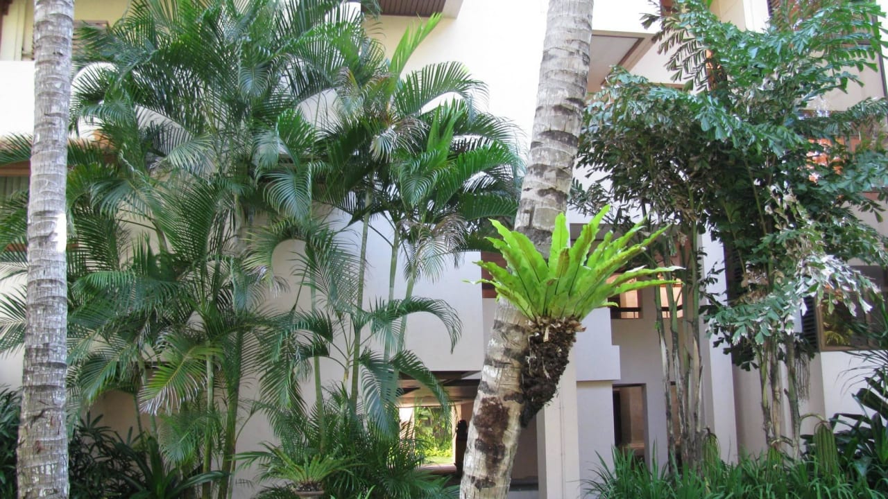 Отель RAMADA Bintang Bali Resort