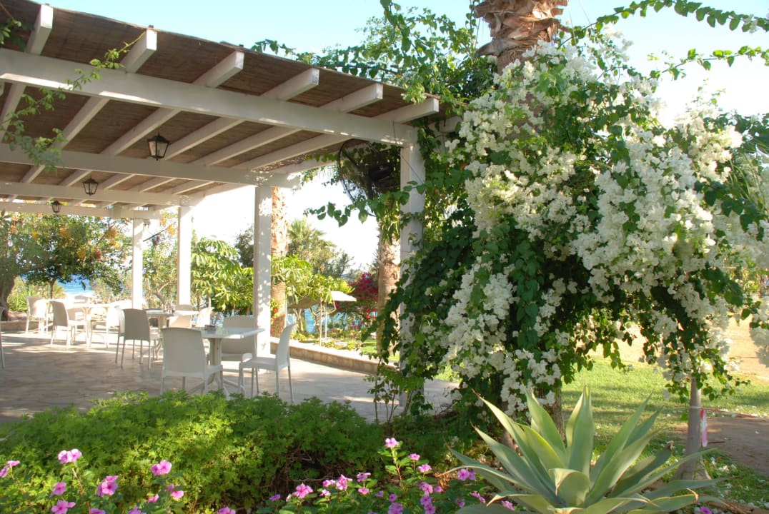 Yialos poolbar side Crystal Springs Beach Hotel