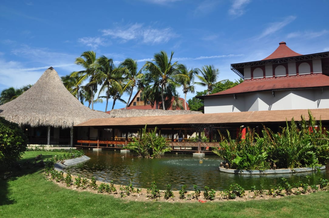 Hotel i otoczenie Grand Palladium Hotels - Palace, Bavaro Suites & Punta Cana